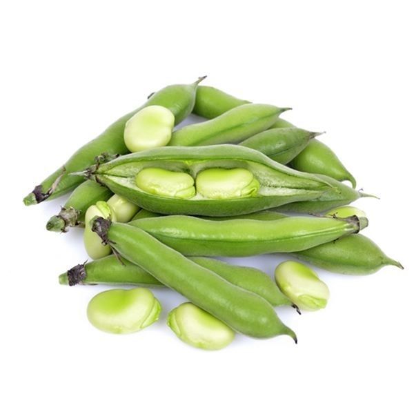 Broad Bean