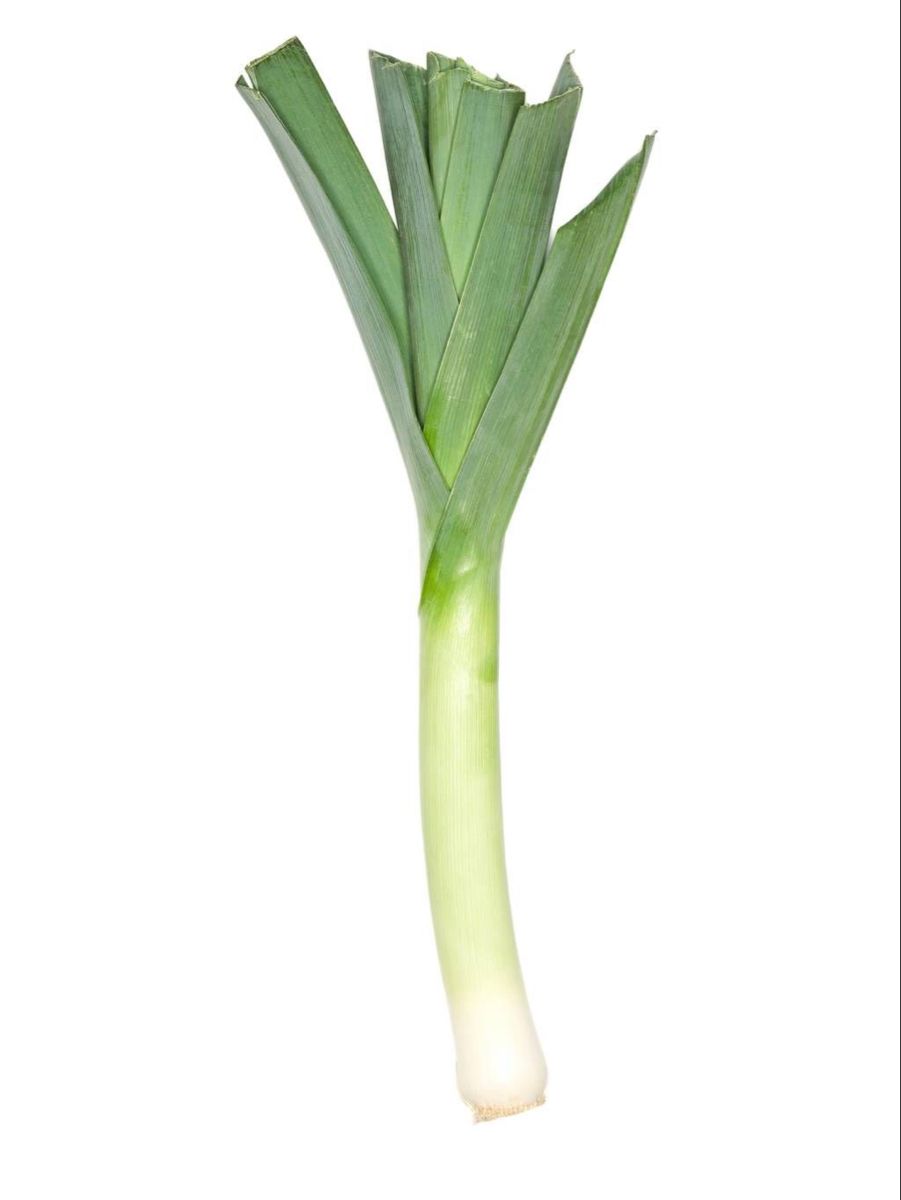 Leek