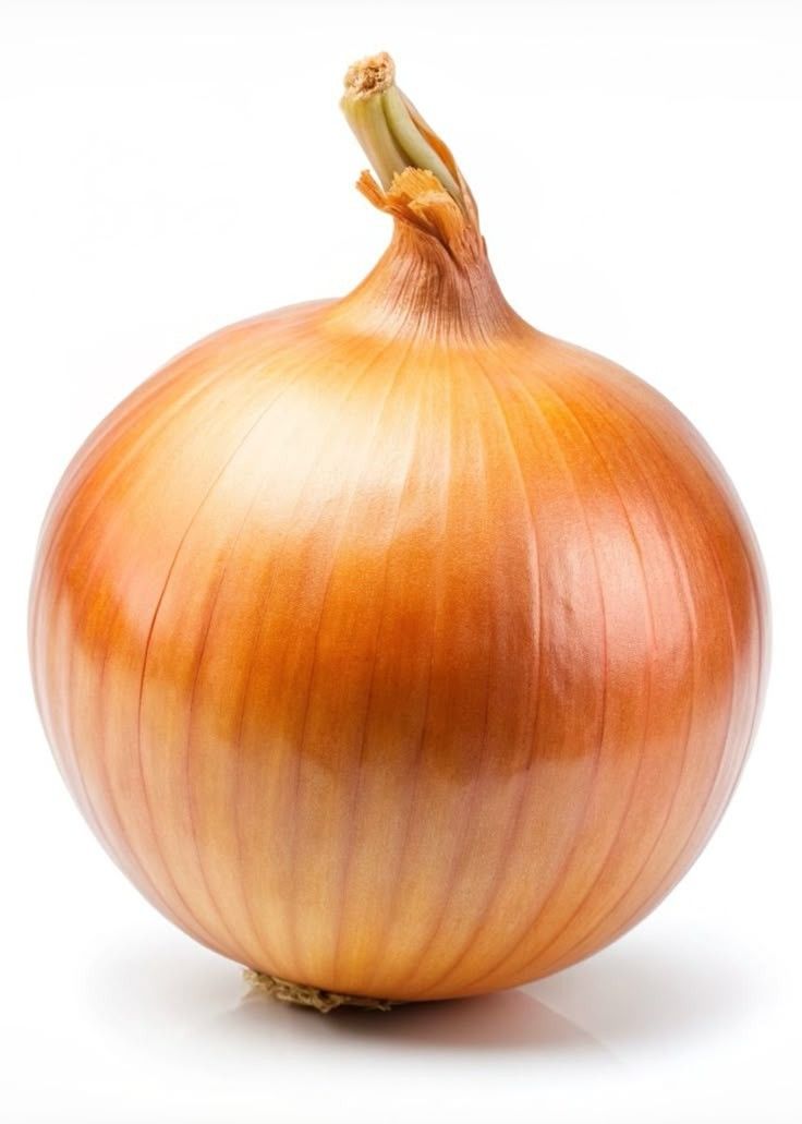Onion