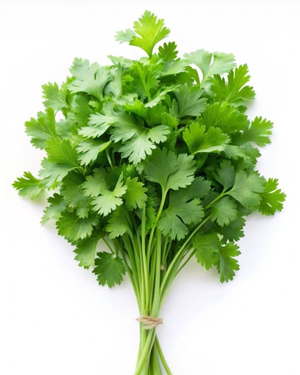 Parsley