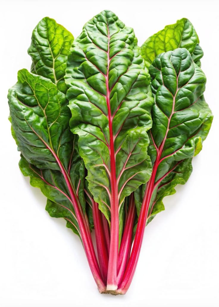 Swiss Chard