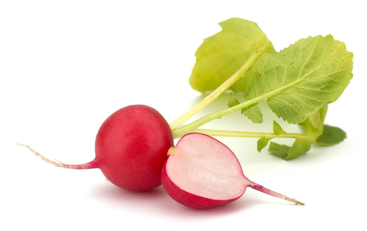 Radish