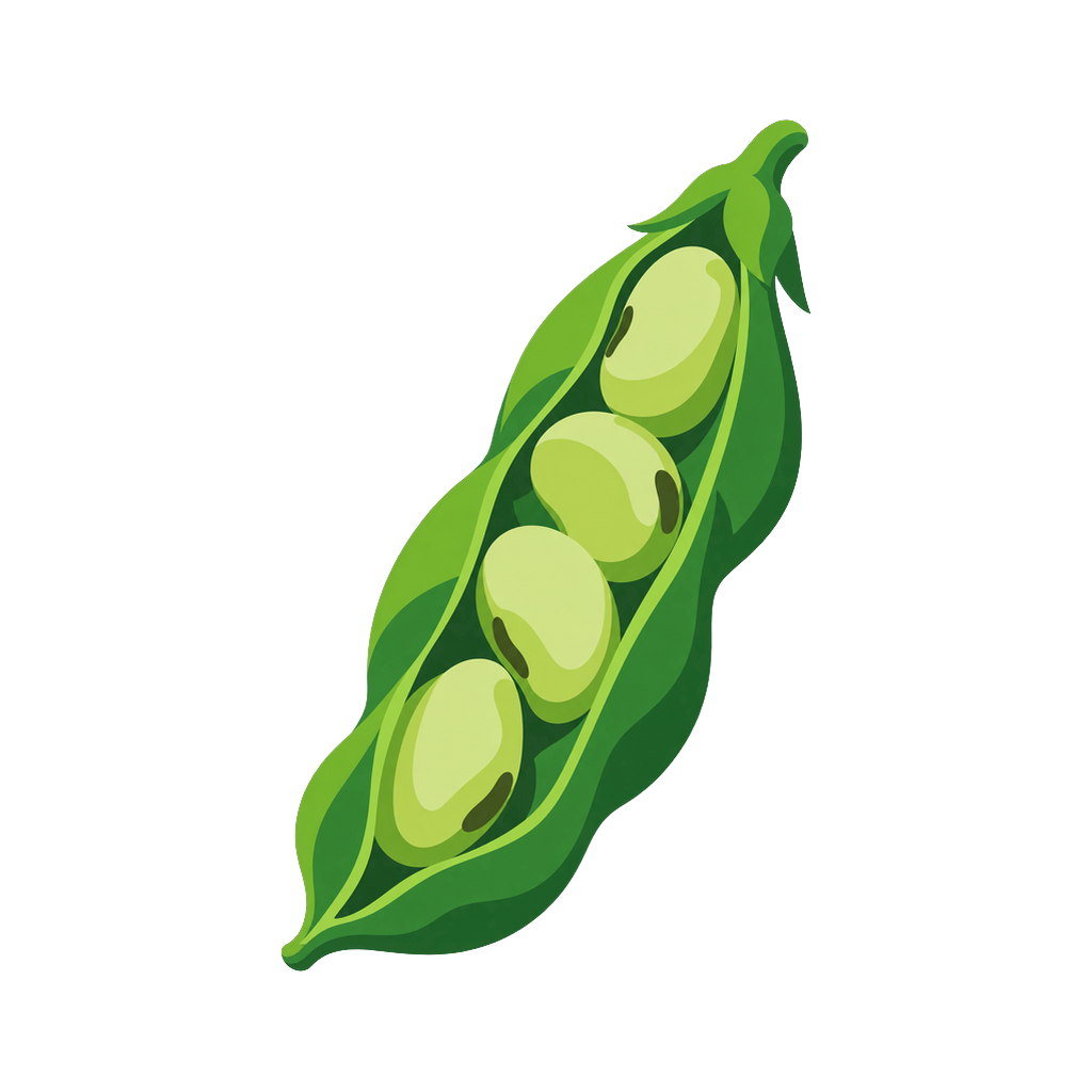 Broad Bean, sow window, 7 October