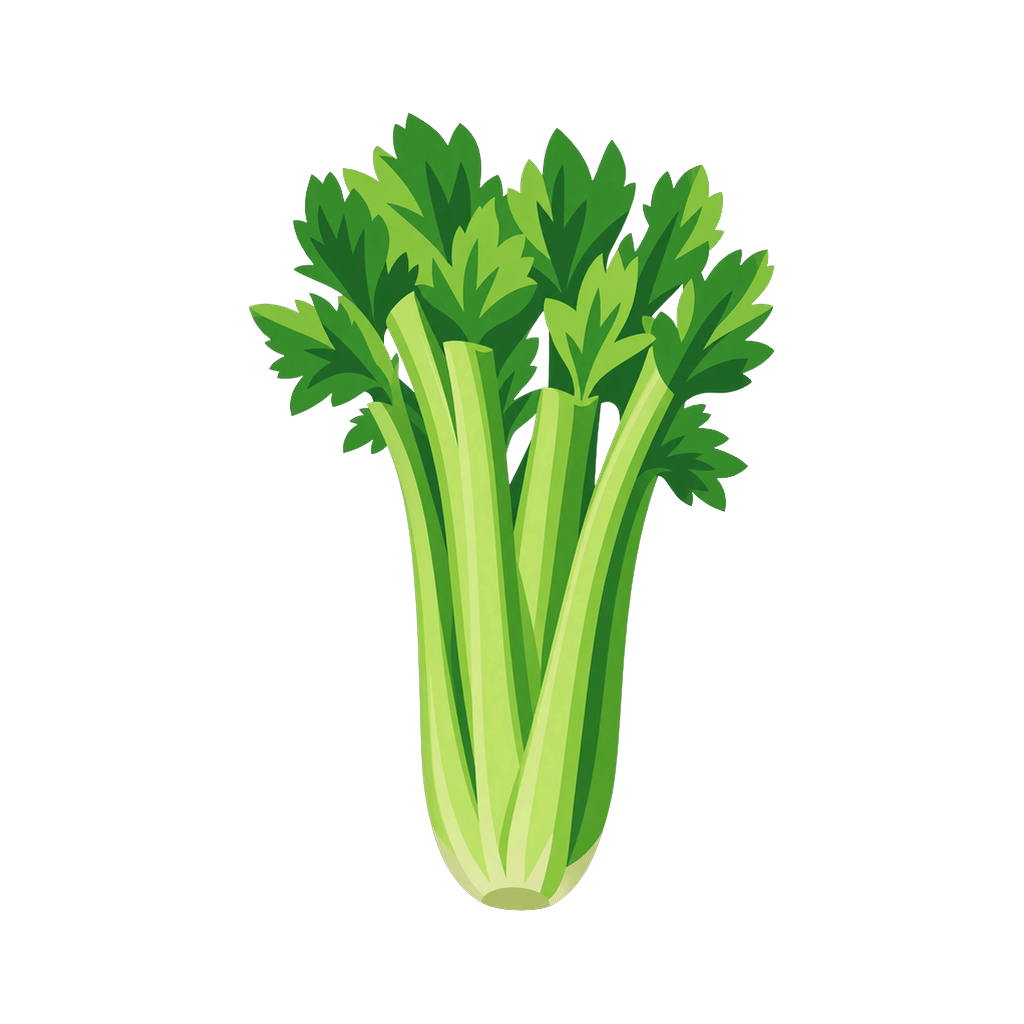 Celery, harvest window, 1 August