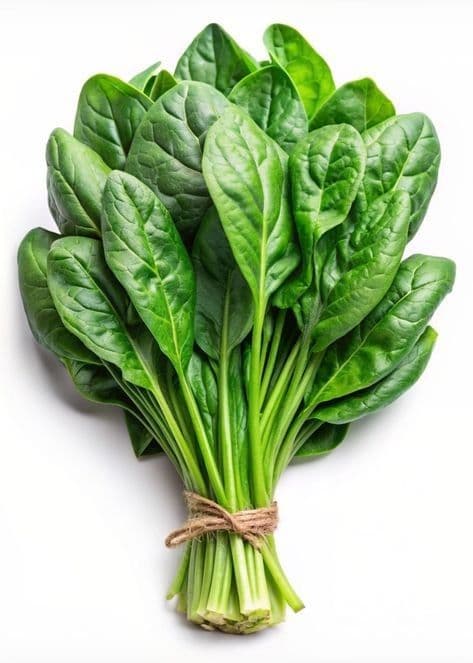 Spinach