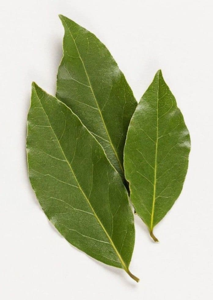 Bay