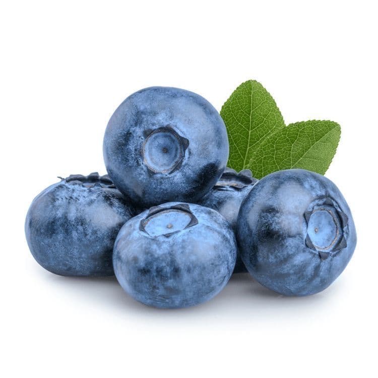 Blueberry