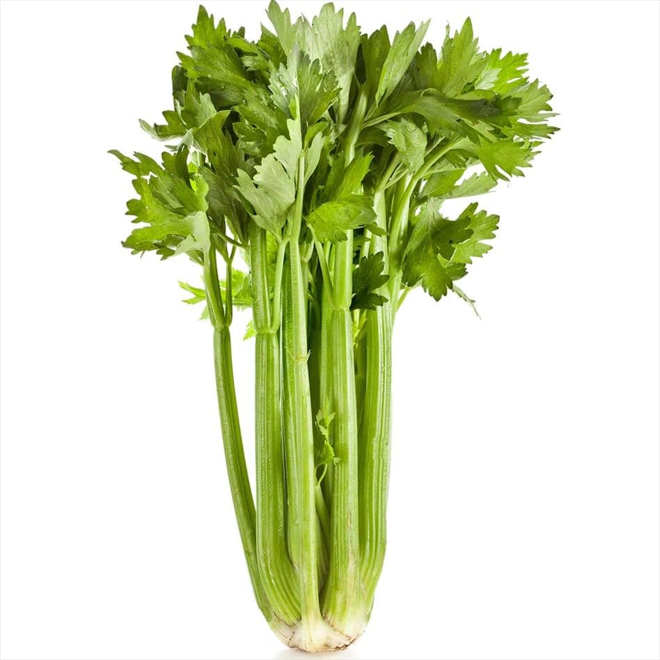 Celery