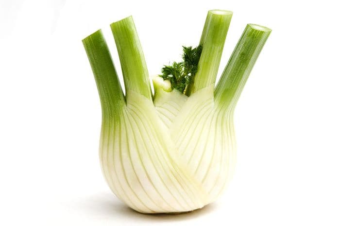 Florence Fennel