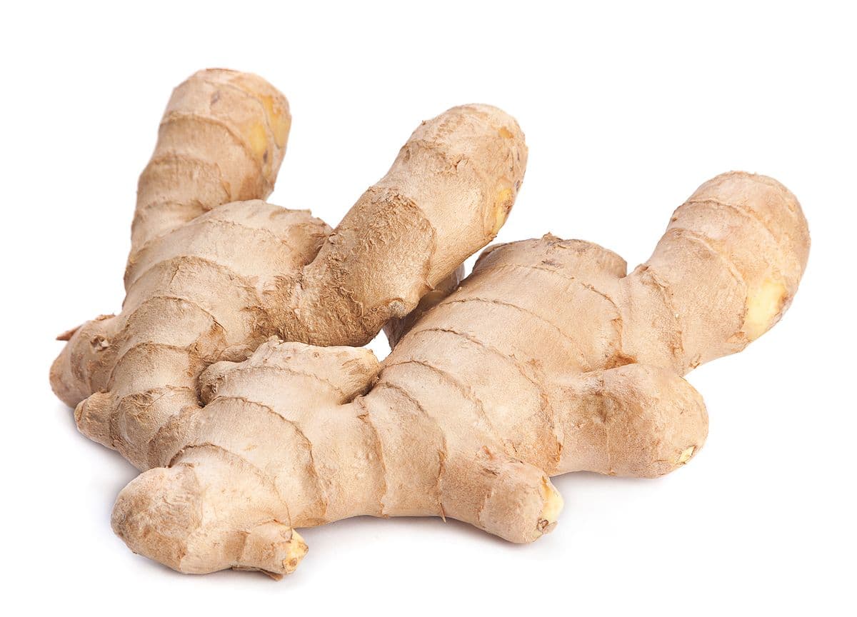 Ginger