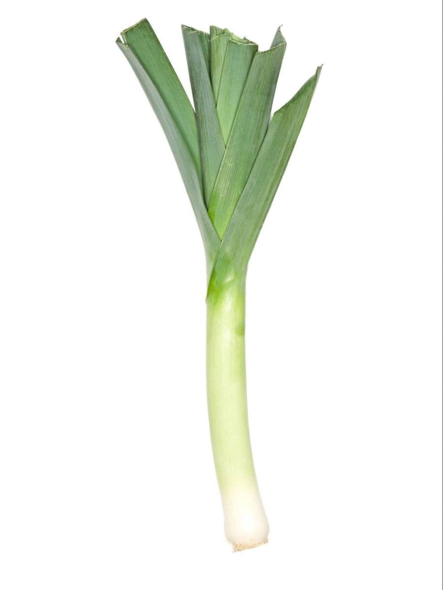 Leek