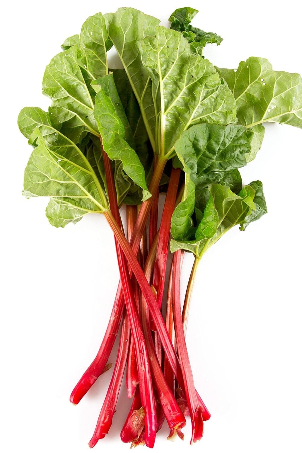 Rhubarb