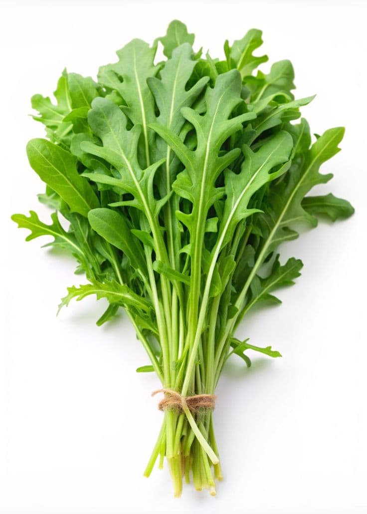 Rocket