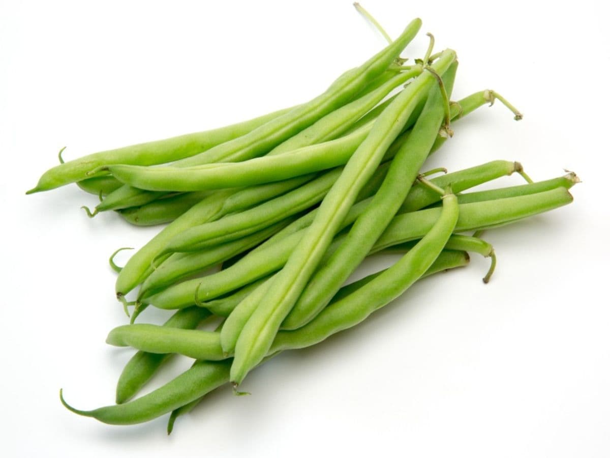Runner Bean