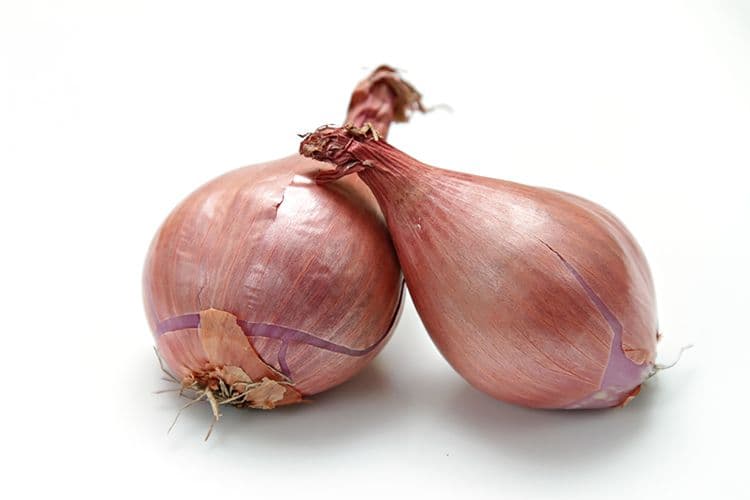 Shallots