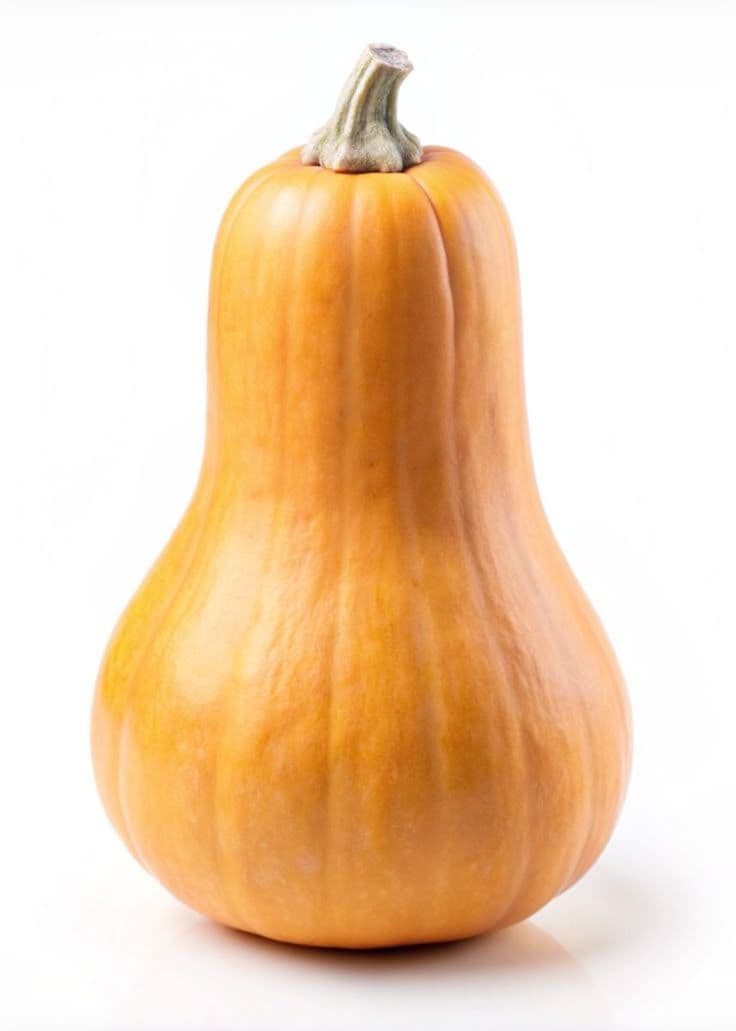 Squash