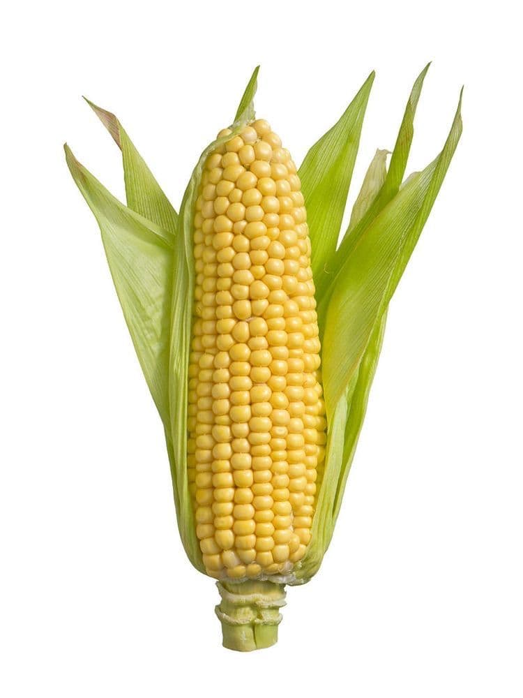 Sweetcorn