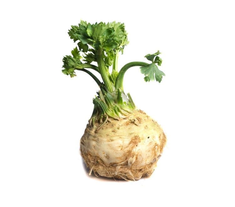 Celeriac