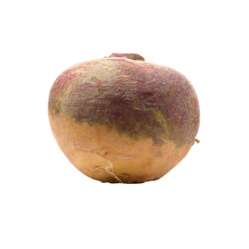 Swede
