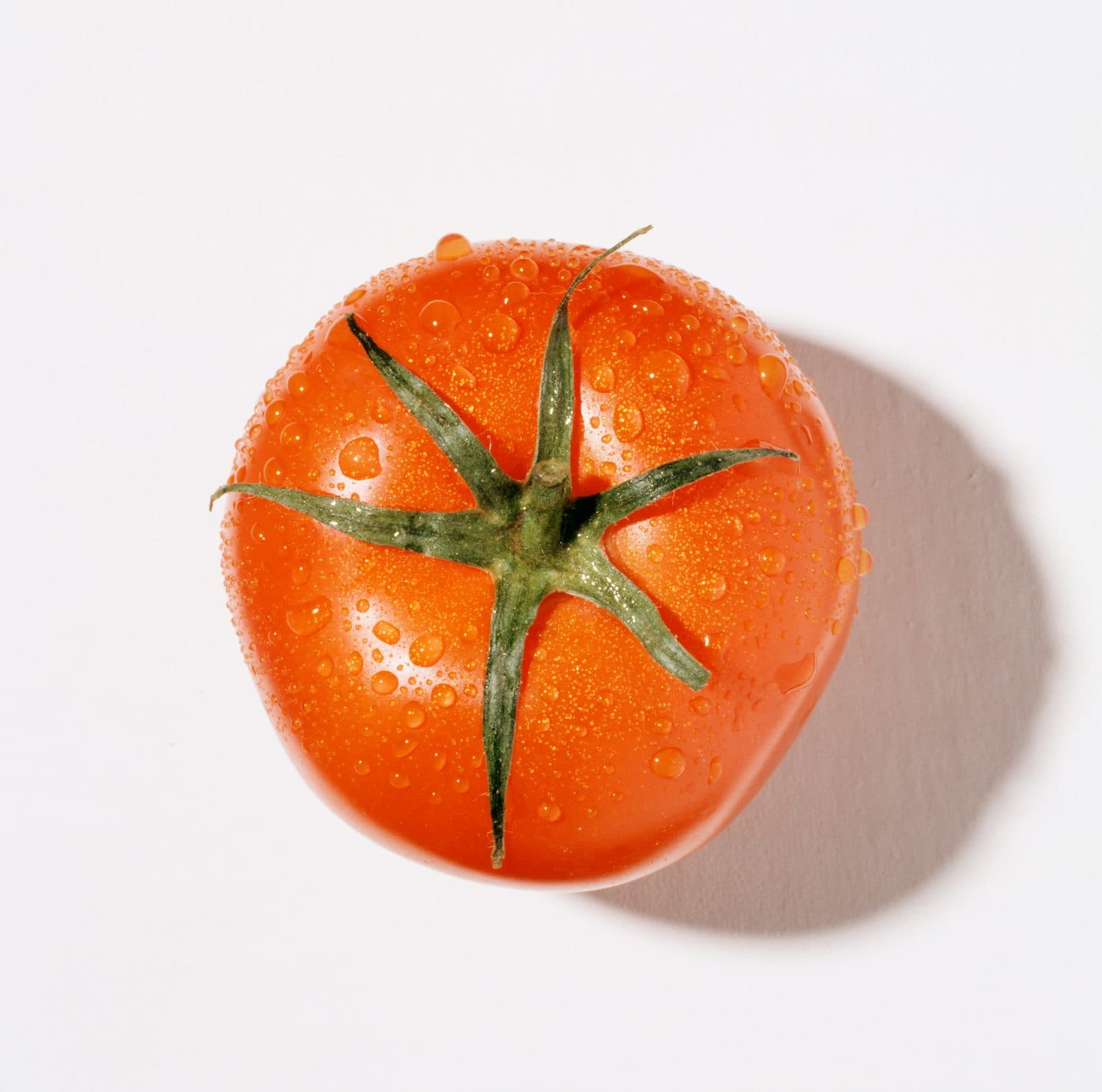 Tomato
