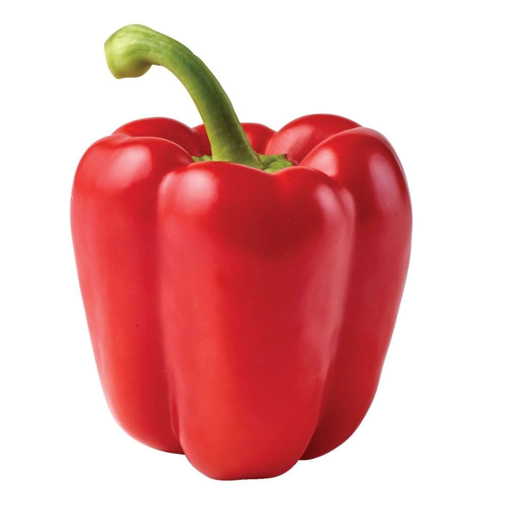 Bell pepper