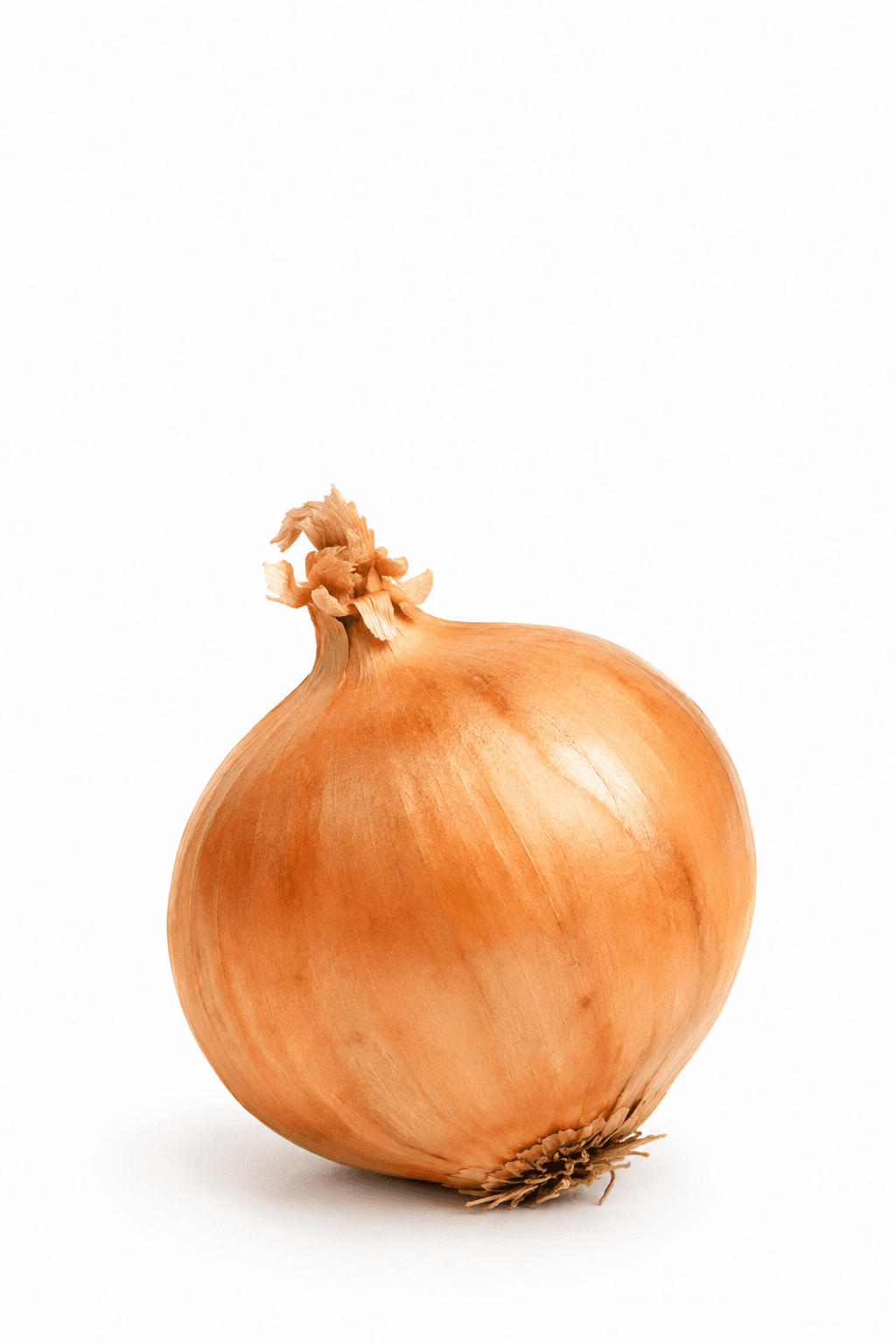 Onion